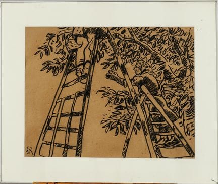 Jean ARENE (1929–2020): „Les olivades“. Kohlezeich