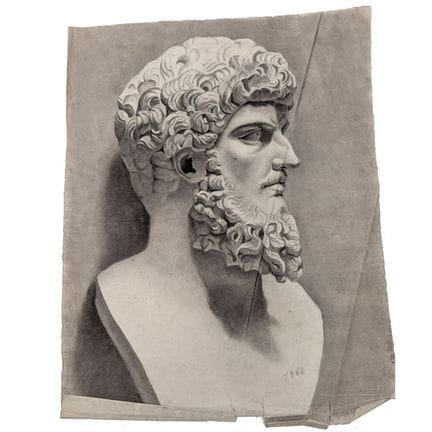 Disegno accademico a carboncino raffigurante il ri