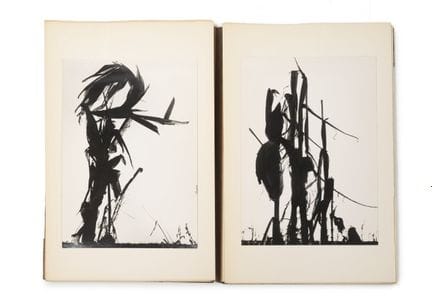 Lucien CLERGUE (1934-2014)
Maïs, Le Marais d'Arles