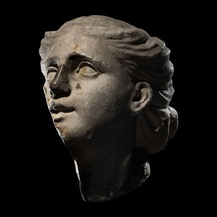 Testa frammentaria di una dea in marmo romano
Circ