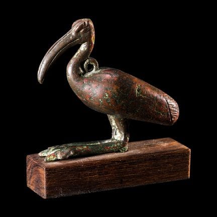 Ibis égyptien en bronze
Période tardive, 26e-30e d