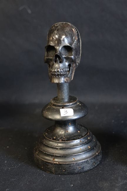 Memento Mori in corno raffigurante un teschio. Alt