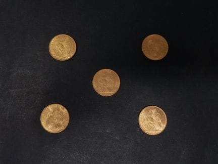 5 monete da 20 franchi d'oro con il gallo, degli a