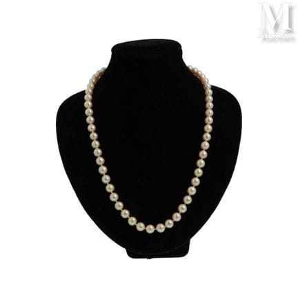 Pearl Necklaces
Choker-style cultured pearl neckla