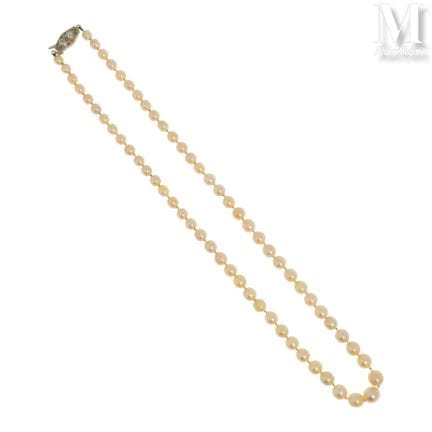 Collier de perles de culture en chute, le fermoir 