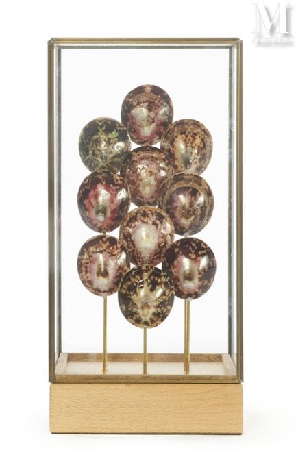 十只龟形陶罐
陈列于长方形展示柜中。
高度：31 厘米，边长：15 厘米。