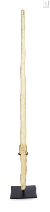  narwhal牙
带底座陈列。具有明显的年代感包浆。下部材质有明显裂纹，尖端因自然磨损而受损。
1