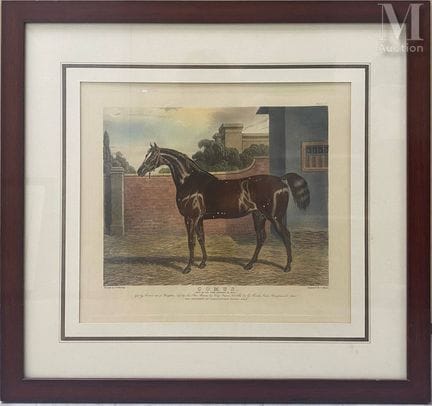 Nach John Frederick Herring Sr. (1795–1865),
Set a