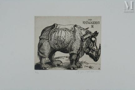 DURER, Albrecht
The Rhinoceros
Albrecht DURER (147