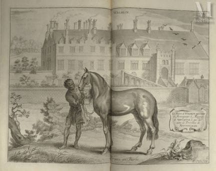 NEWCASTLE (William CAVENDISH, Herzog von).
Methode