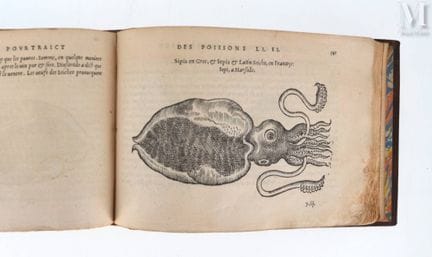 [BELON (Pierre)].
[La nature &amp; diversité des p
