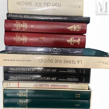 书籍套装
包括：
- 《绘画与雕塑词典：二十世纪艺术》，拉鲁斯出版社；
- 《伟大摄影师及其技法》，