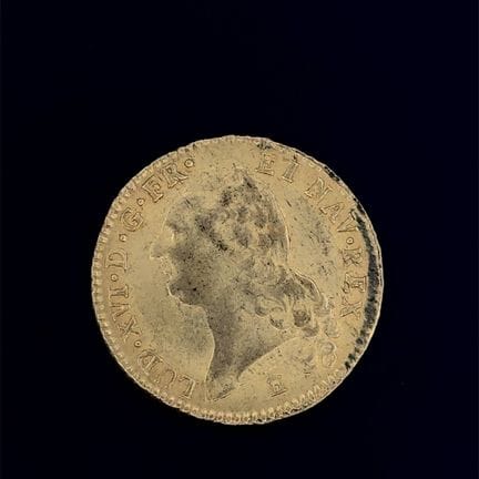 Luigi XVI 
Doppio luigi d'oro con busto nudo - 178