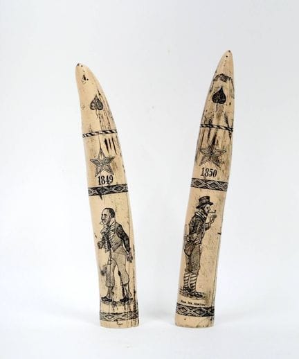 Zwei polierte und mit Scrimshaw-Gravuren verzierte