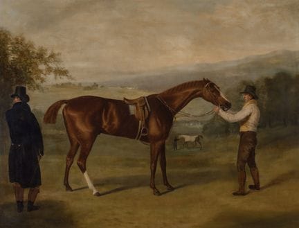 École anglaise, XIXe siècle.

Renard avec palefren