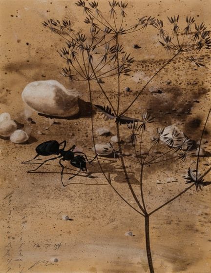 埃尔尼·汉斯
1909年 卢塞恩 2015年

《蚂蚁》。1954年
纸本水彩与蛋彩画
左下角签名、