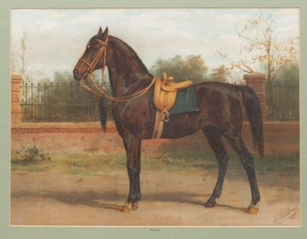 Otto Eerelman (1839-1926), « Woyko », le cheval pr