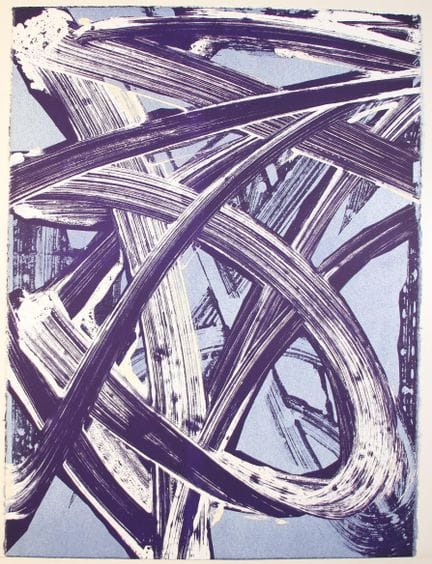 Robert Zandvliet (né en 1970), « Fly overs », séri