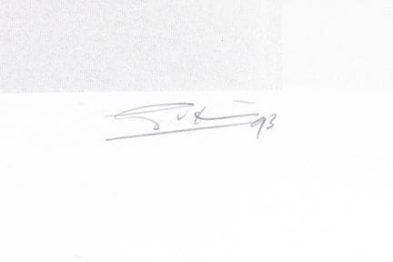Ger van Elk (1941-2014), sérigraphie « Self painte