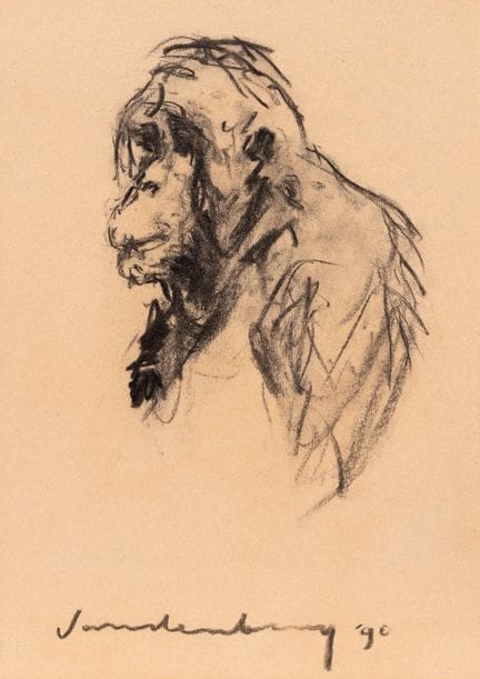 Philippe Vandenberg (1952–2009) Étude d'un chimpan