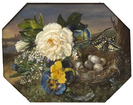 Margaret Meijer (1841-1917) Fleurs, papillon et ni