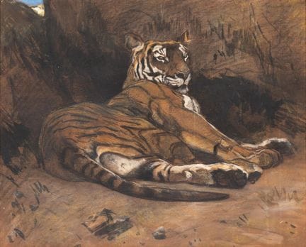 Jan van Essen (1854-1936) « Tigre à Artis » (vers 