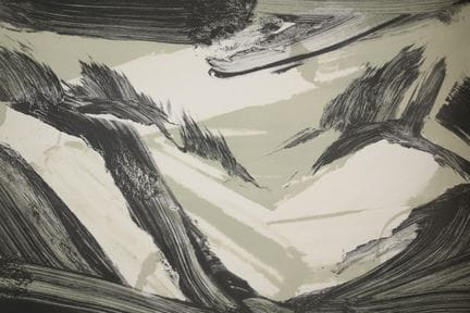 Robert Zandvliet (né en 1970) Paysage de dunes (d'