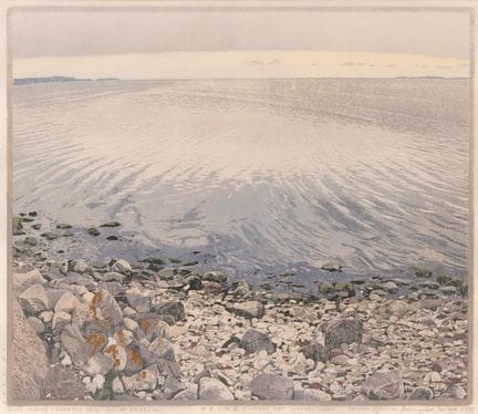 Siemen Dijkstra (né en 1968), « Helnaes, état de b