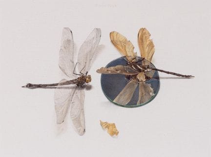 Chris Herenius (né en 1943), « Verstard », aquarel