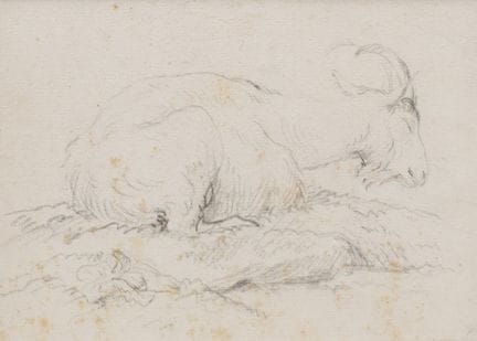 Artiste inconnu, XVIIIe siècle. Deux chèvres se re