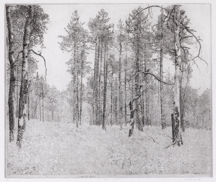 Charles Donker (né en 1940), « Bos XXIII », gravur