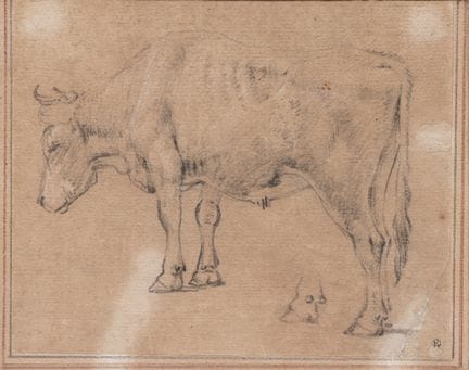 Attribué à Paulus Potter (1625-1654) Étude d'un ta