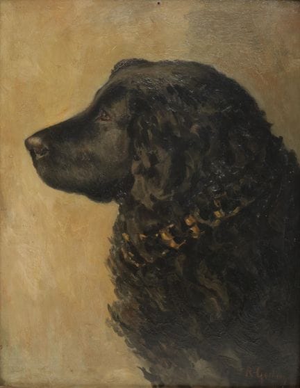 Reneke Gockinga (1864-1915) Portrait d'un chien, h