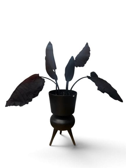 Marc Poldermans for POLDR Design, "Joyce Planter" 