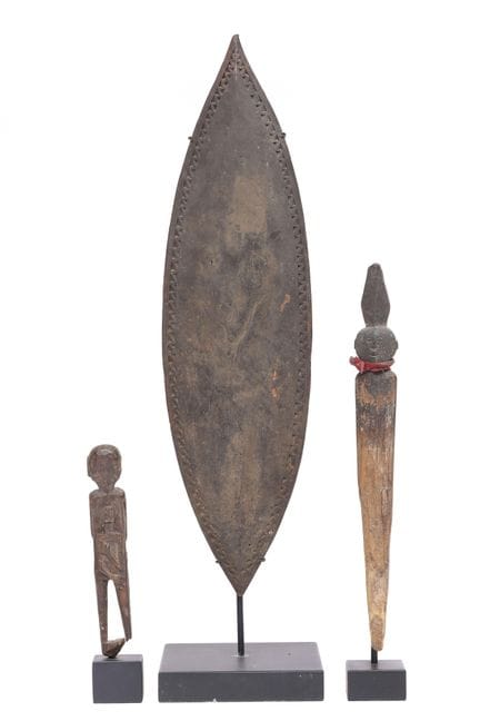 Borneo, Kalimantan, Dayak Barito: uno scudo da dan