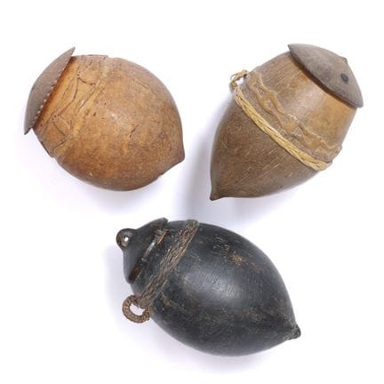 Indonesia, Mentawai Islands, three lidded coconut 