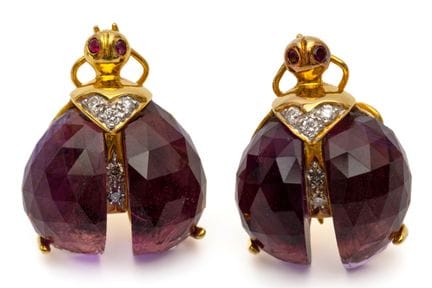 Une paire de boucles d'oreilles en forme de coléop