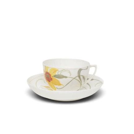 N.V. Haagsche Plateelfabriek Rozenburg, tazza e pi