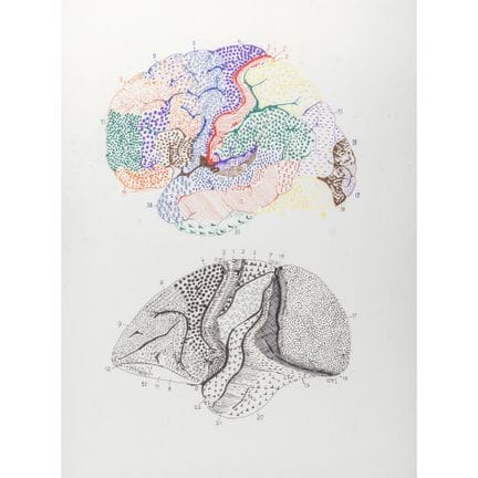 OURSLER, TONY
TONY OURSLER (1957-) 
Any Body May B