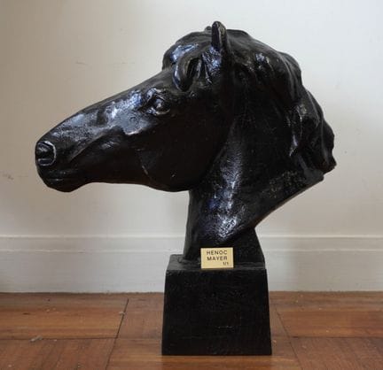 Henoc MAYER (XXIe siècle). 
Buste de cheval sur so