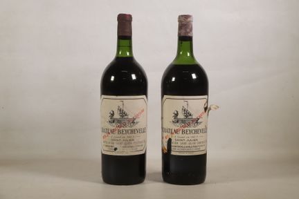 BORDEAUX - 2 magnums, Saint-Julien, Château Beyche