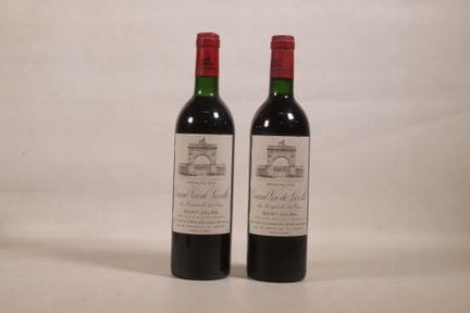 BORDEAUX - 2 bouteilles, Saint-Julien, Château Léo