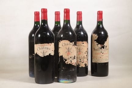 BORDEAUX - 6 magnums, Saint-Julien, Château Moulin