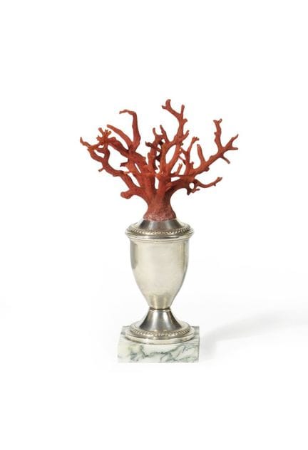 CURIOSITÀ
Corallo rosso del Mediterraneo montato s