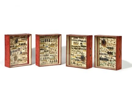CURIOSA
Serie di quattro cofanetti entomologici co