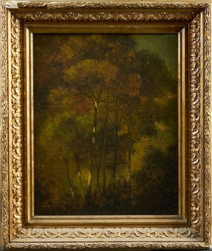 Barbizon School.
Undergrowth, pine trees.
Oil on c