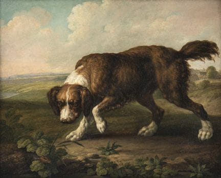 比利时画派，欧仁·弗尔博克霍芬（Eugène Verboeckhoven）流派/追随者
19世纪

