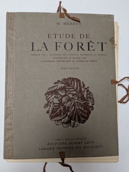 Mathurin MEHEUT, «Étude de la Forêt», segundo tomo