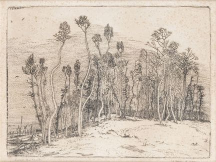 BOZZETTI  FRANCESCO (CINO)
Lecce 1876 – 1949 Borgo