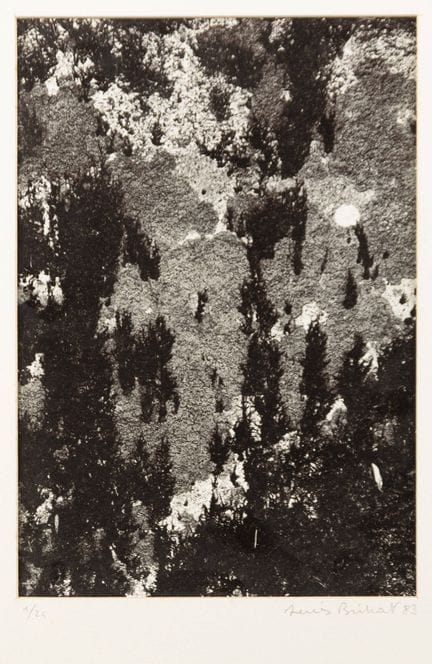 BRIHAT DENIS
1928 Paris–Bonnieux (France) 2024
"Li